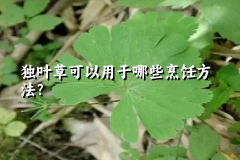 独叶草可以用于哪些烹饪方法？