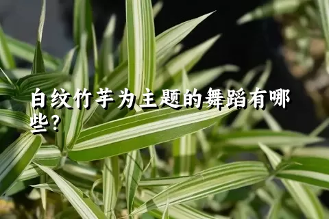 白纹竹芋为主题的舞蹈有哪些？