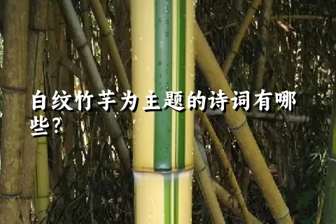 白纹竹芋为主题的诗词有哪些？