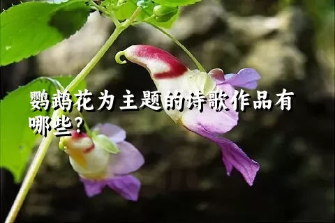 鹦鹉花为主题的诗歌作品有哪些？