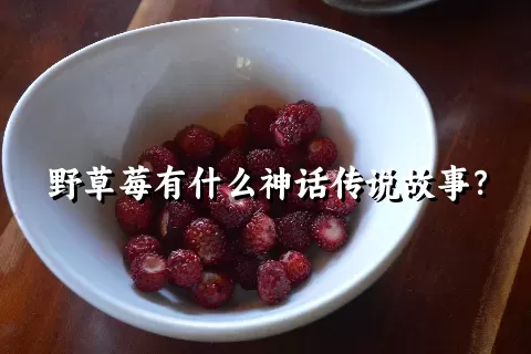 野草莓有什么神话传说故事？