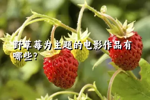 野草莓为主题的电影作品有哪些？
