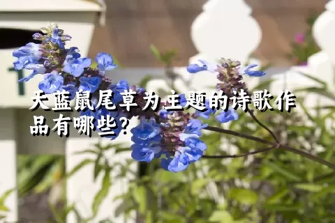 天蓝鼠尾草为主题的诗歌作品有哪些？