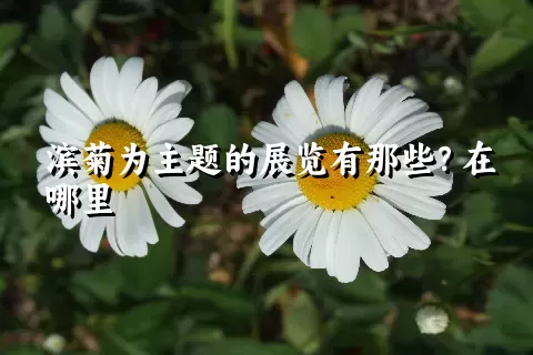 滨菊为主题的展览有那些？在哪里