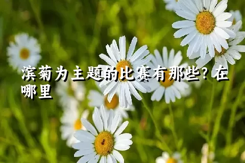 滨菊为主题的比赛有那些？在哪里