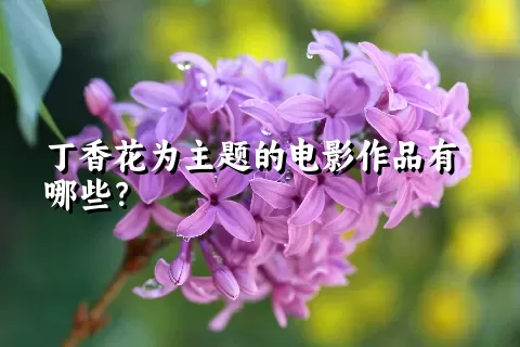 丁香花为主题的电影作品有哪些？