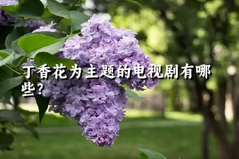 丁香花为主题的电视剧有哪些？