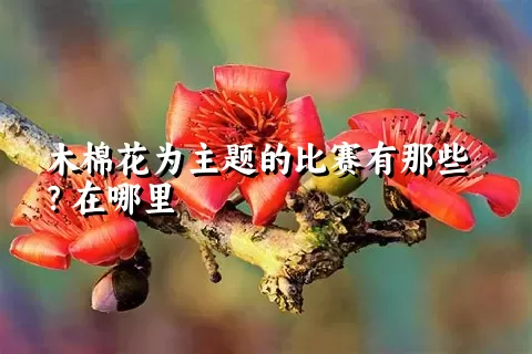 木棉花为主题的比赛有那些？在哪里