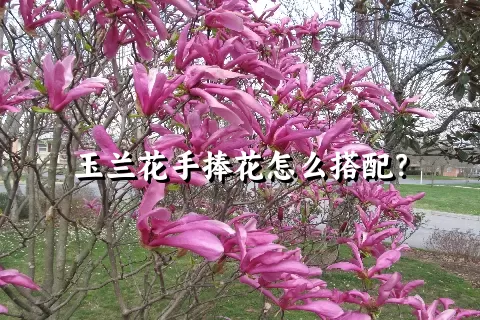 玉兰花手捧花怎么搭配？