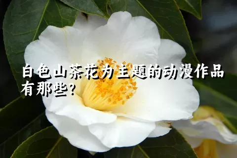 白色山茶花为主题的动漫作品有那些？
