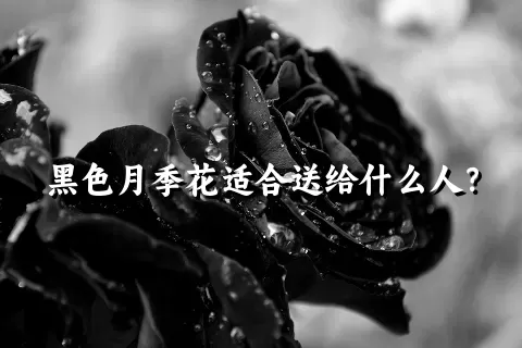 黑色月季花适合送给什么人？