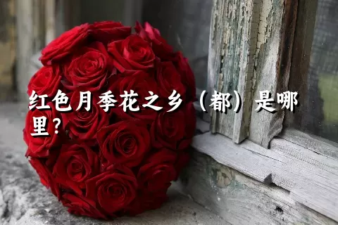 红色月季花之乡（都）是哪里？