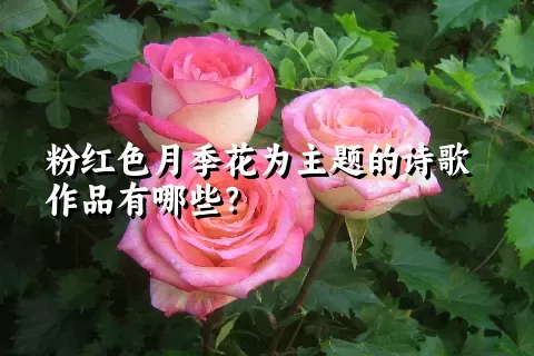 粉红色月季花为主题的诗歌作品有哪些？