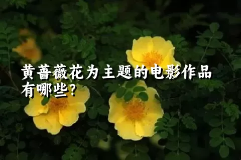 黄蔷薇花为主题的电影作品有哪些？