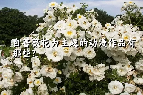 白蔷薇花为主题的动漫作品有那些？
