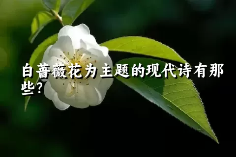 白蔷薇花为主题的现代诗有那些？