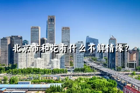 北京市和花有什么不解情缘？