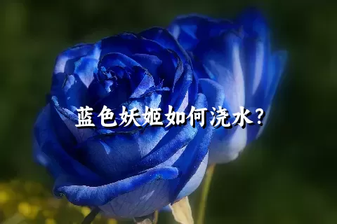 蓝色妖姬如何浇水？