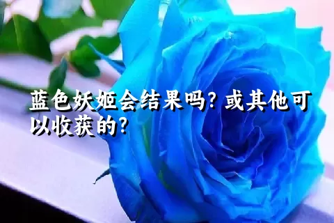 蓝色妖姬会结果吗？或其他可以收获的？