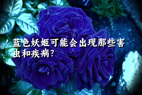 蓝色妖姬可能会出现那些害虫和疾病？