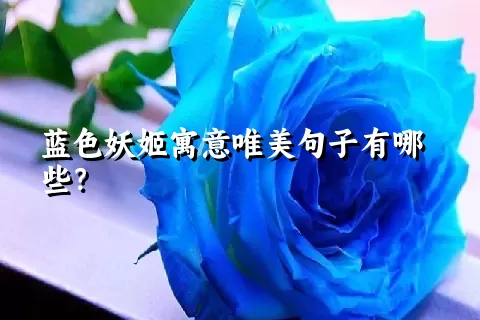 蓝色妖姬寓意唯美句子有哪些？