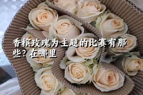 香槟玫瑰为主题的比赛有那些？在哪里