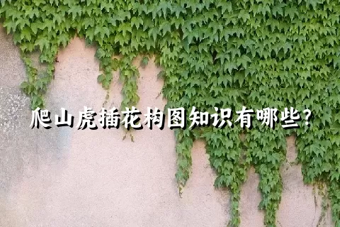 爬山虎插花构图知识有哪些？
