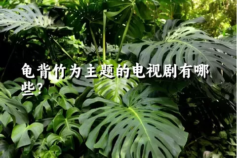 龟背竹为主题的电视剧有哪些？