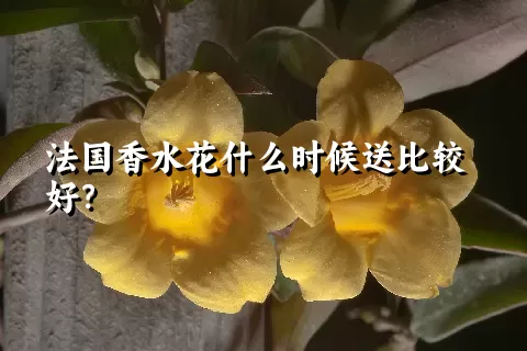 法国香水花什么时候送比较好？