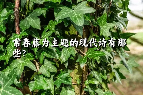 常春藤为主题的现代诗有那些？