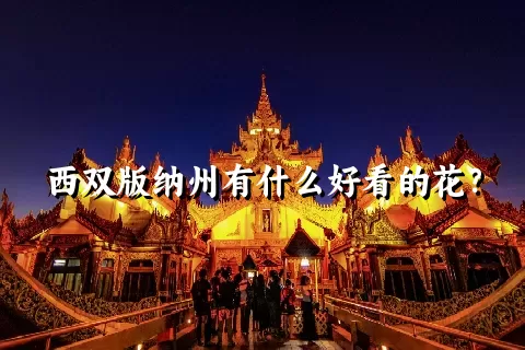 西双版纳州有什么好看的花？