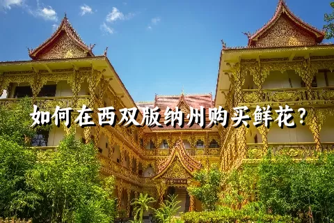 如何在西双版纳州购买鲜花？