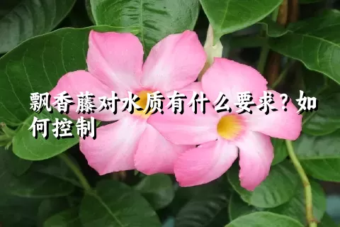 飘香藤对水质有什么要求？如何控制