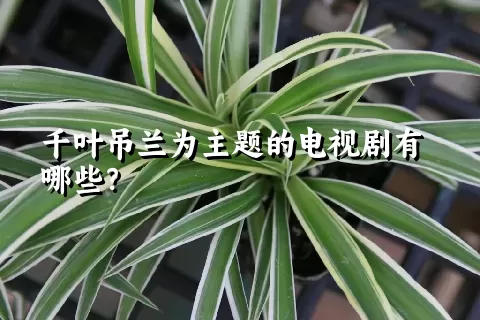 千叶吊兰为主题的电视剧有哪些？