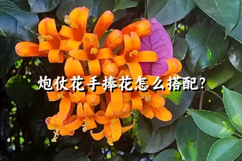 炮仗花手捧花怎么搭配？
