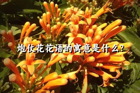 炮仗花花语的寓意是什么？