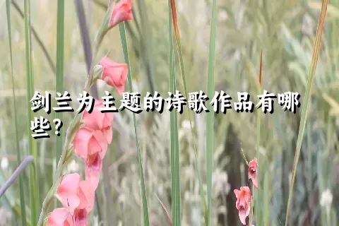 剑兰为主题的诗歌作品有哪些？