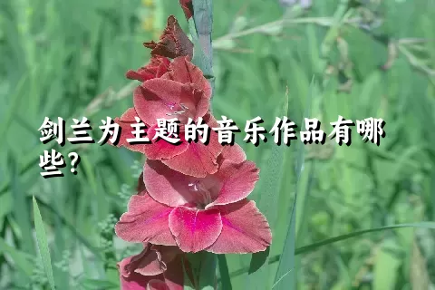 剑兰为主题的音乐作品有哪些？