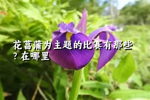 花菖蒲为主题的比赛有那些？在哪里