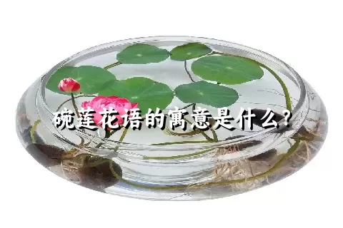 碗莲花语的寓意是什么？