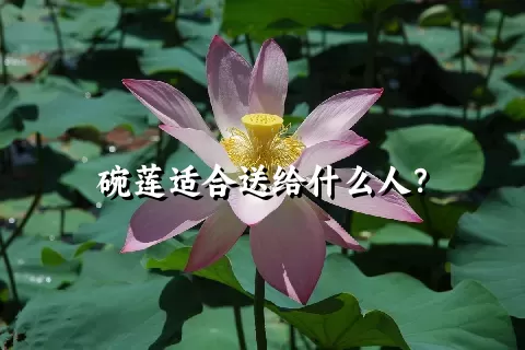 碗莲适合送给什么人？