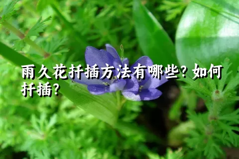 雨久花扦插方法有哪些？如何扦插？
