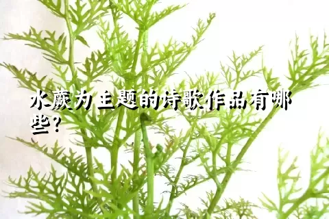 水蕨为主题的诗歌作品有哪些？