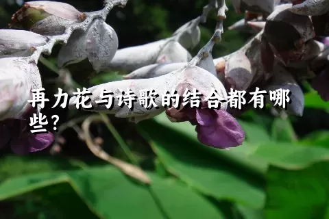 再力花与诗歌的结合都有哪些？