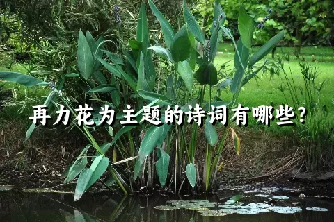 再力花为主题的诗词有哪些？