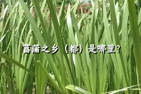 菖蒲之乡（都）是哪里？