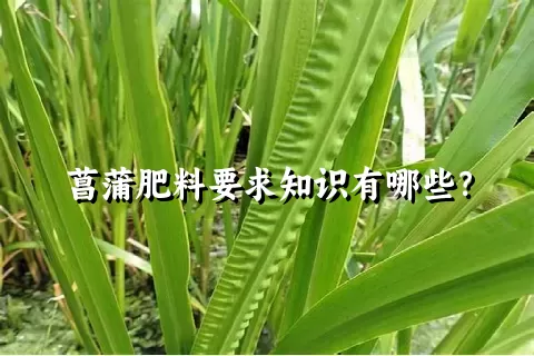 菖蒲肥料要求知识有哪些？