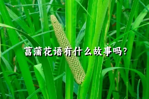 菖蒲花语有什么故事吗？