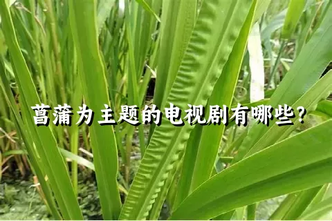 菖蒲为主题的电视剧有哪些？