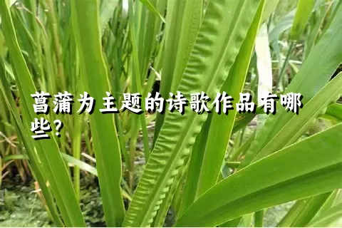 菖蒲为主题的诗歌作品有哪些？
